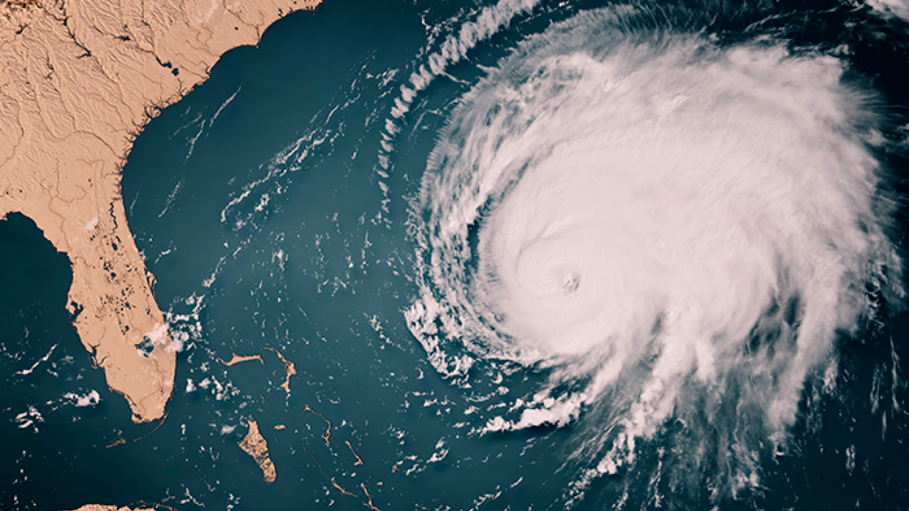 Best hurricane impact windows and hurricane impact doors